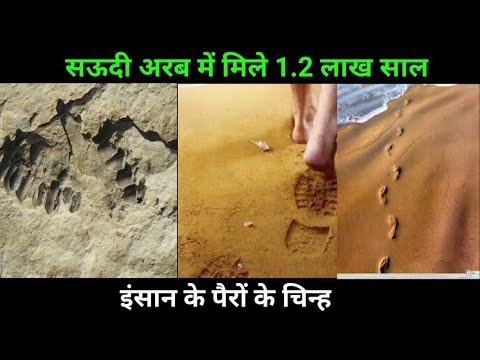 सऊदी अरब में मिले 1.2 लाख साल पुराने इंसान के पैरों के चिह्न