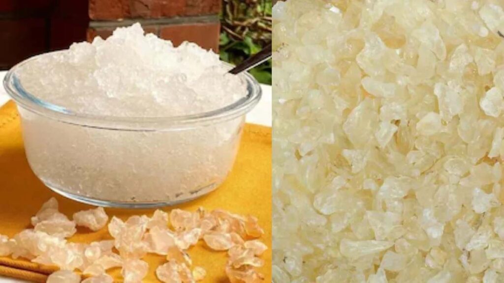 सिर्फ गर्मी ही नहीं कई बीमारियों को दूर भगाने में असरदार है गोंद कतीरा